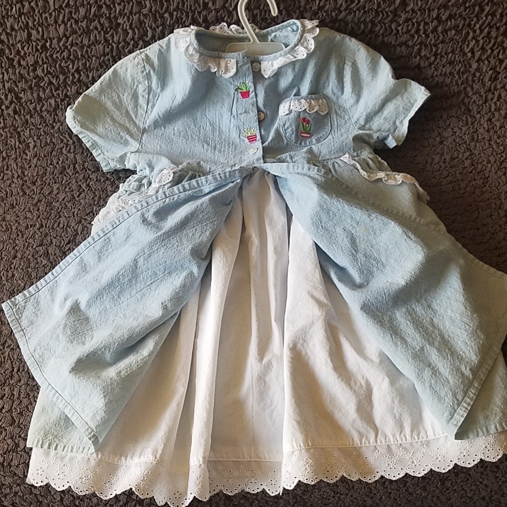 Blue Cambry Dress